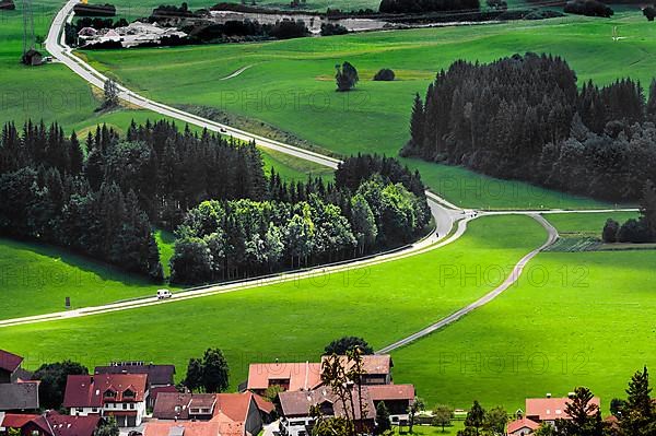 Meadows, mixed forest and country road