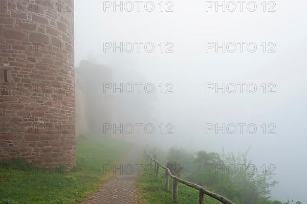 Castle Henneburg in the morning mist, Stadtprozelten