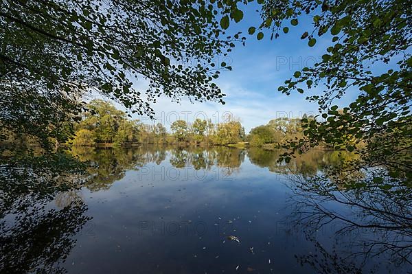 Lake Moenchbruchweiher in autumn, Nature Reserve