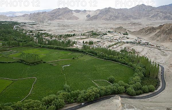 View of the Indus Valley from Thiksey Gompa, Ladakh