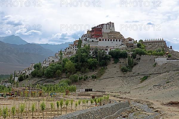 Thiksey or Thikse Gompa, Ladakh