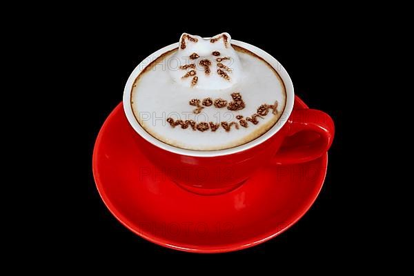 Coffee Mug Cappuccino Lettering good morning 3D Cat,