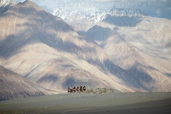 Riders on Bactrian camels in the Nubra Sand Dunes, Leh District