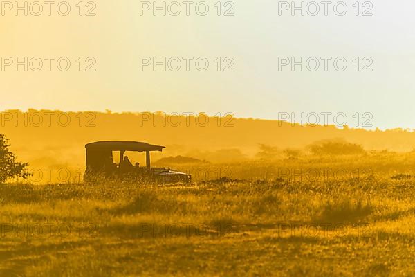 Savannah landscape in the morning with safari vehicle, Masai Mara National Reserve