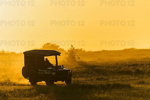 Savannah landscape in the morning with safari vehicle, Masai Mara National Reserve