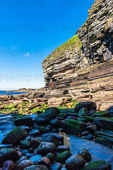 Cliffs over Puffin Cove, Drumhollistan