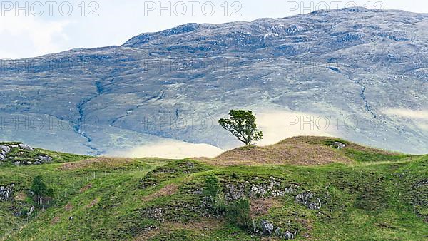 Mountains in Lights and Shadows over Glenfinnan Viaduct, West Highland Line in Glenfinnan