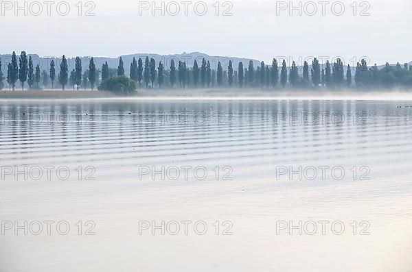 Morning atmosphere at Lake Constance near Radolfzell in May, morning fog