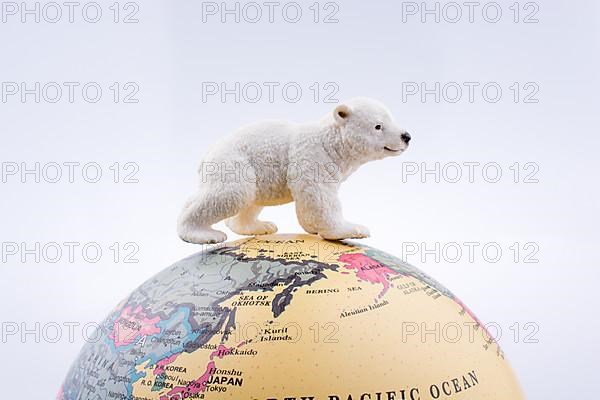Polar bear on the top of the globe on white background,