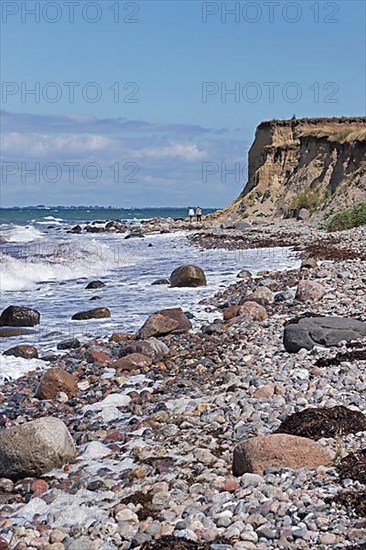 Shingle beach, steep coast