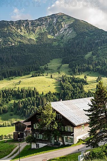 View of farmhouse, Tannheim