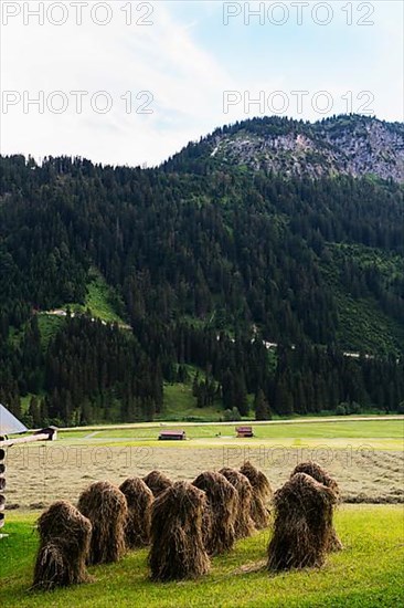 Heumandl, hay man