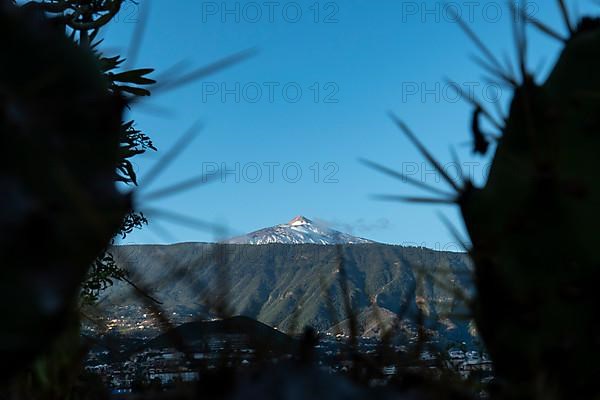 Mount Teide, Puerto de la Cruz