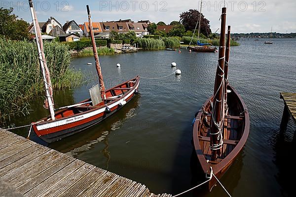 Wooden boats on the Schlei in front of the historic fishing village of Holm, Schleswig