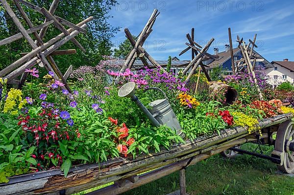 Old hay cart with floral decorations and hay candles, Buchenberg