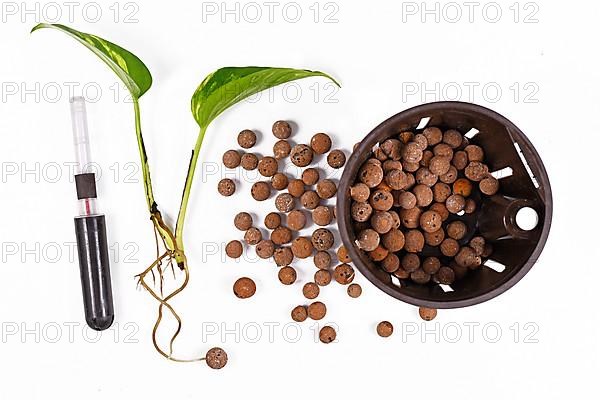 Tools for keeping houseplants in passive hydroponics system without soil with water level indicators, expanded clay pellets