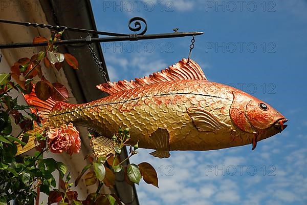 Fish sculpture on an old fisherman's house, Historic fishing village Holm