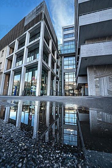 City hall with reflection in the puddle, modern architecture