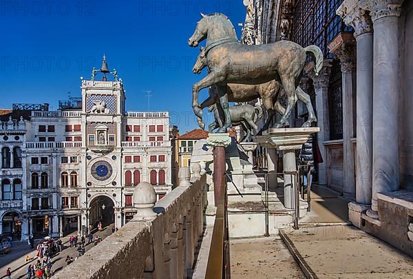 Quadriga of the Horses of San Marco on St Mark's Basilica and the Clock Tower in St Mark's Square, Venice