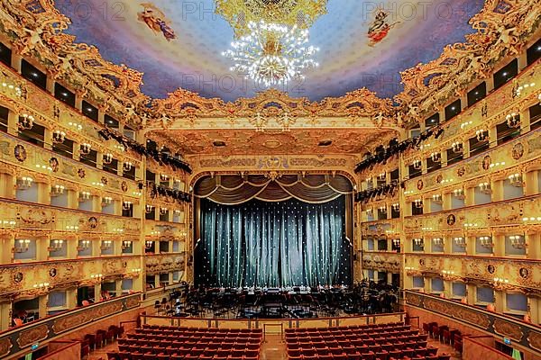 Auditorium, hall of the Teatro la Fenice opera house