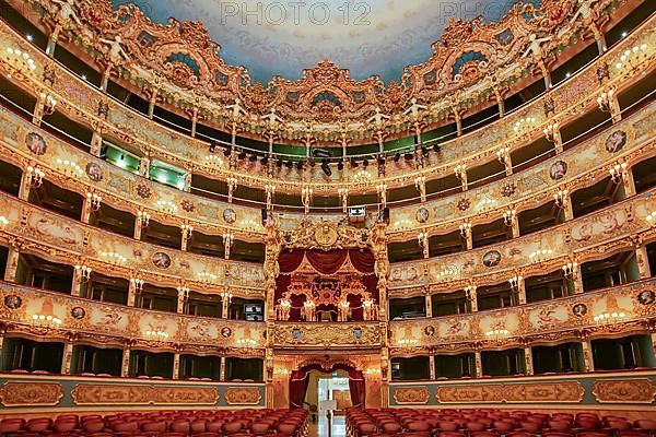 Auditorium, hall of the Teatro la Fenice opera house