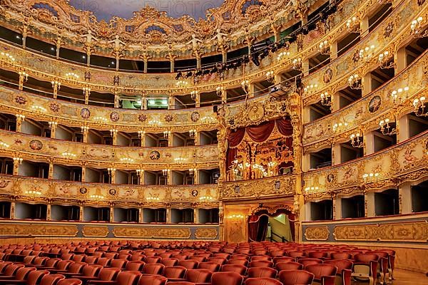 Auditorium, hall of the Teatro la Fenice opera house