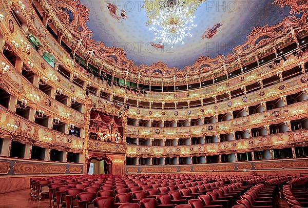 Auditorium, hall of the Teatro la Fenice opera house