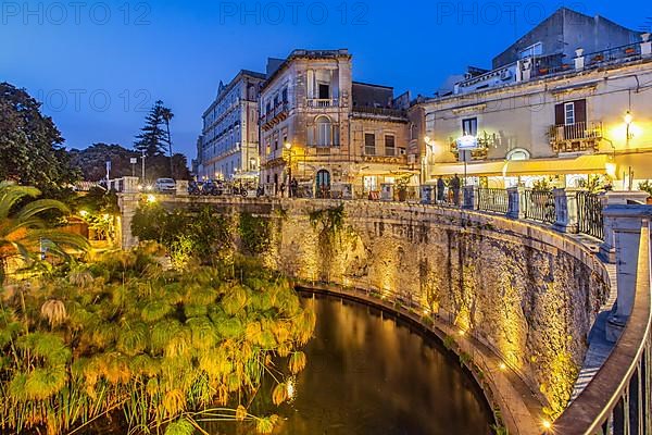 Fonte Aretusa spring with papyrus plants in front of the old town at dusk, Syracuse