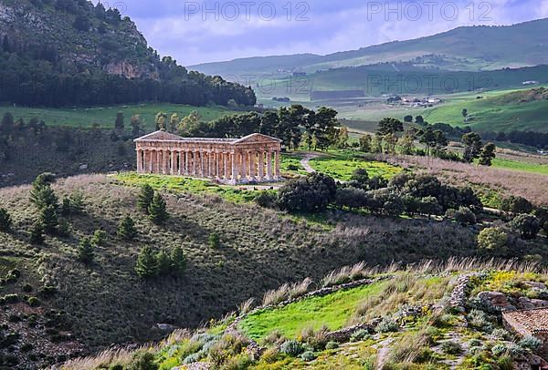 Spring landscape with the temple of Segesta, Calatafimi