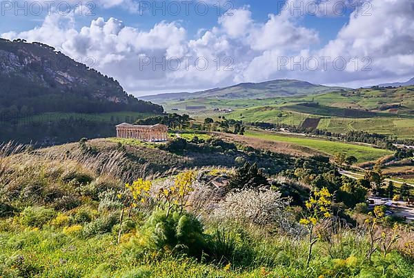 Spring landscape with the temple of Segesta, Calatafimi