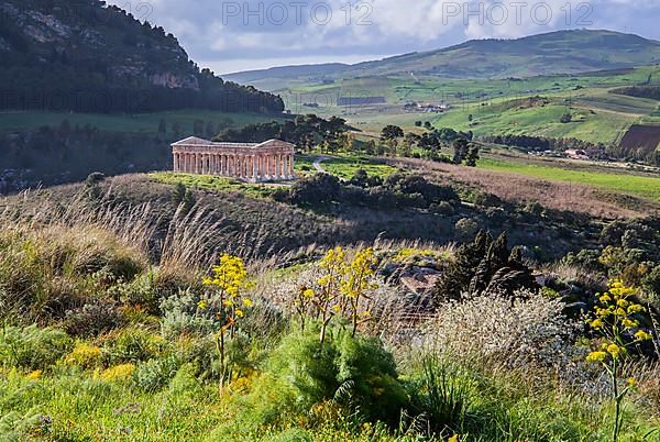 Spring landscape with the temple of Segesta, Calatafimi