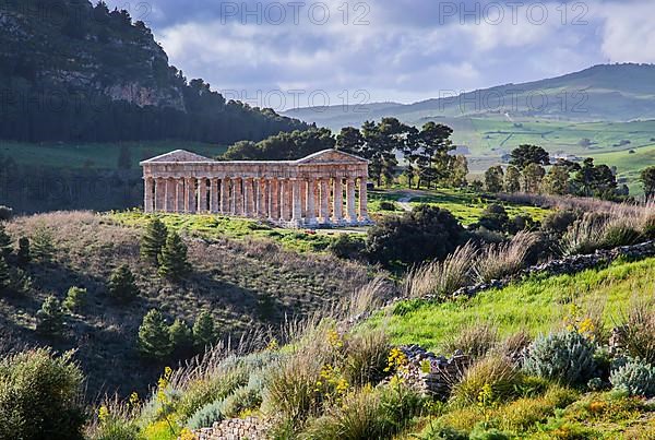 Spring landscape with the temple of Segesta, Calatafimi