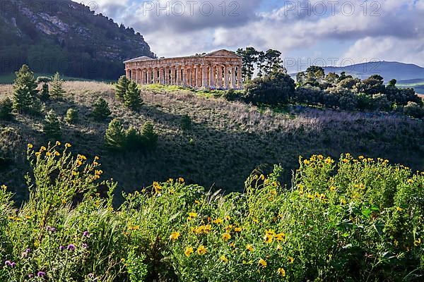 Spring landscape with the temple of Segesta, Calatafimi