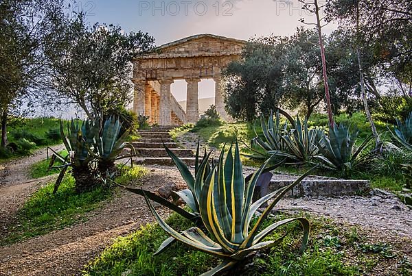 Temple of Segesta, Calatafimi