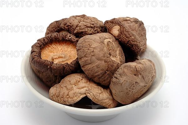 Shiitake,