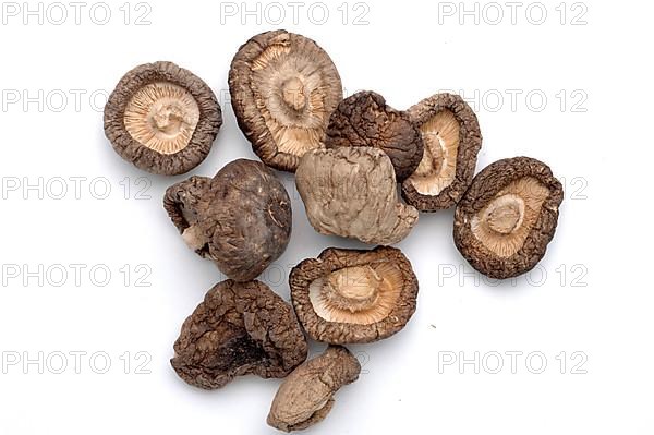 Shiitake,
