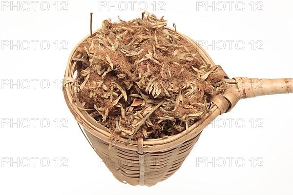 Dried blossoms of medicinal plant bastard tamarinds,