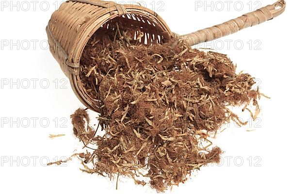 Dried blossoms of medicinal plant bastard tamarinds,