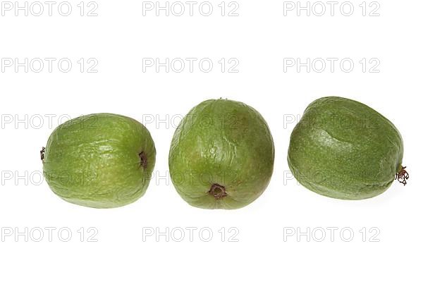 Exotic fruits: hardy kiwi,