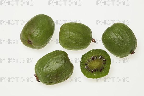 Exotic fruits: hardy kiwi,