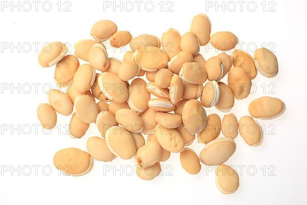 Medicinal plant climbing bean, helmet bean