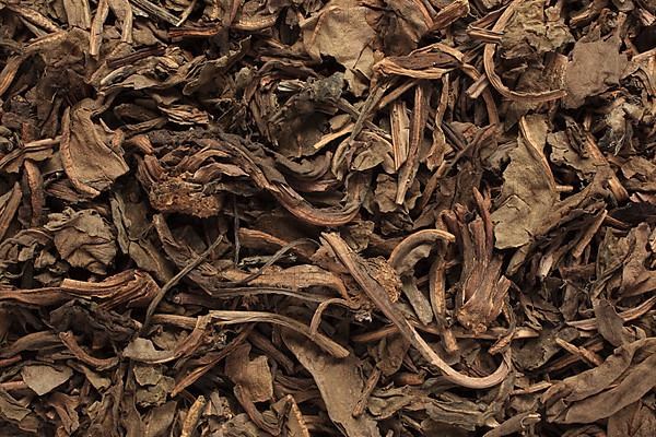 Dried leaves of the medicinal plant Chameleon plant, variegated leaf