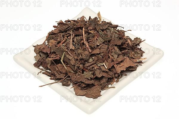 Dried leaves of the medicinal plant Chameleon plant, variegated leaf