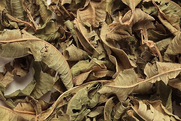 Dried leaves of the medicinal plant verbena,