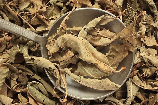 Dried leaves of the medicinal plant verbena,