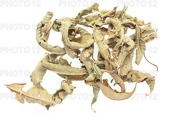 Dried leaves of the medicinal plant verbena,