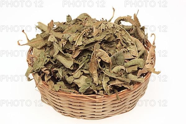 Dried leaves of the medicinal plant verbena,