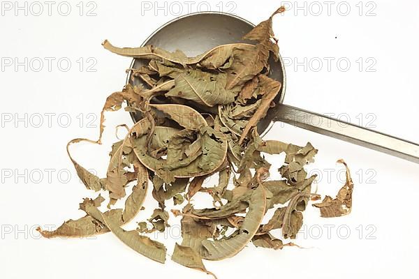 Dried leaves of the medicinal plant verbena,