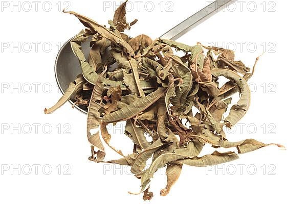 Dried leaves of the medicinal plant verbena,