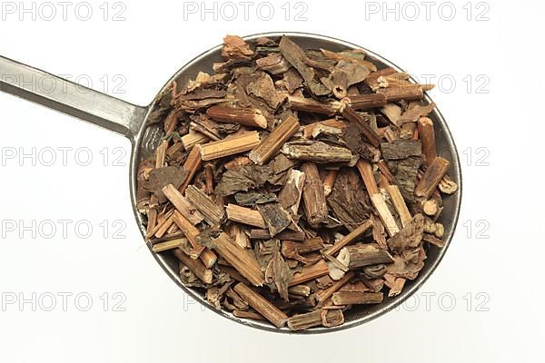 Dried herb of the medicinal plant Fortune boneset,